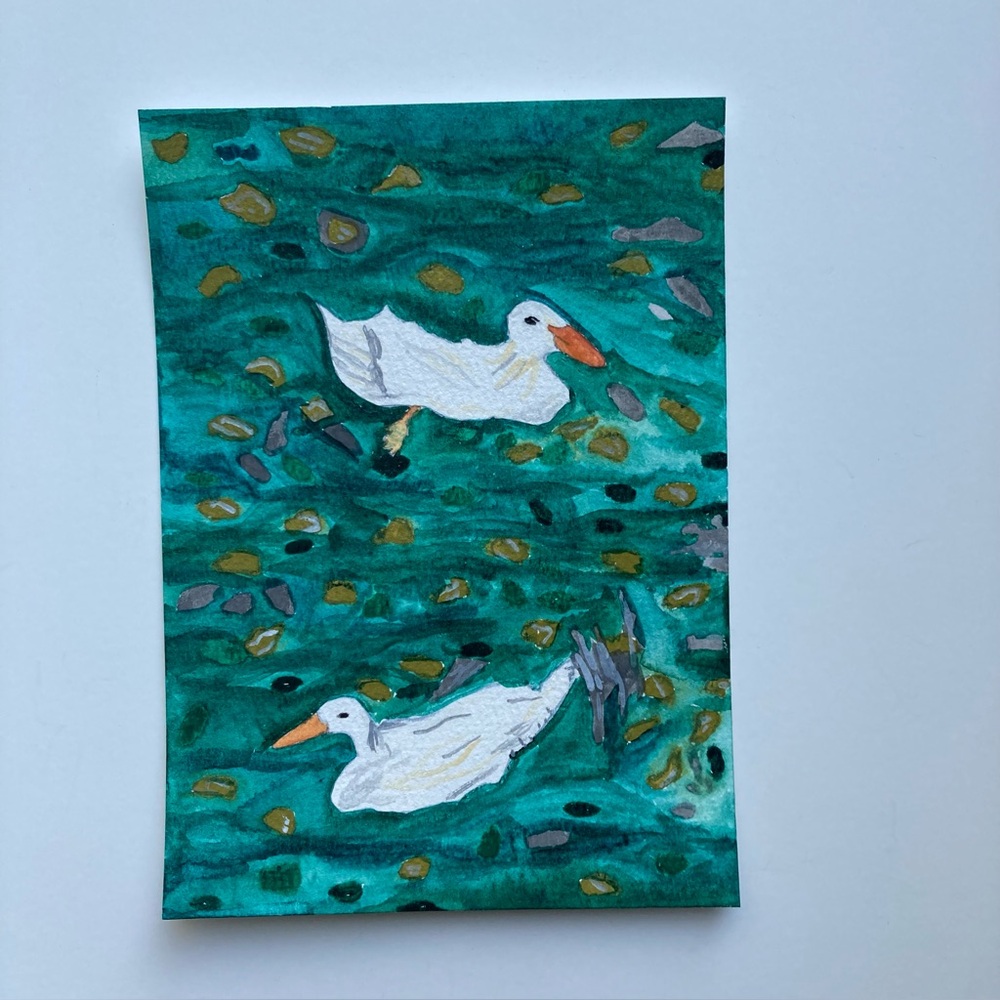 Duck  Watercolor Painting